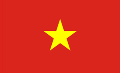 VIETNAMESE